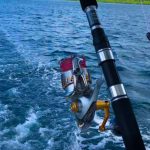 Trolling spread behind a Dropcast charter boat off Vanuatu