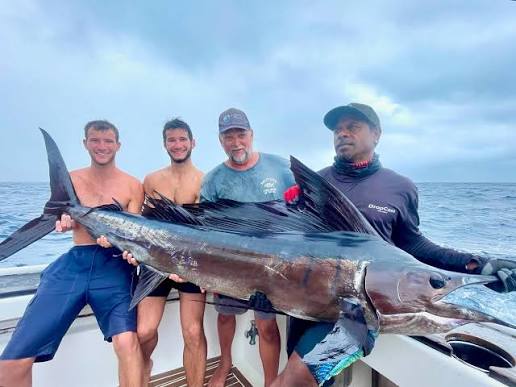 Blue Marlin