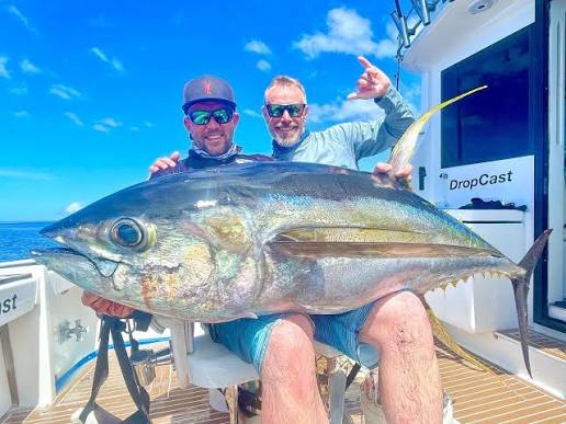 Yellowfin tuna jigged at a FAD off Port Vila, Vanuatu
